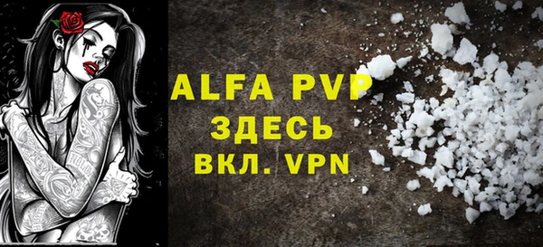 шишки Абаза
