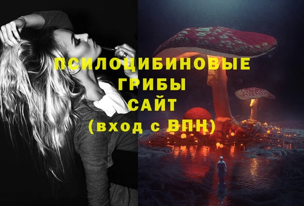 амфетамин Алексин