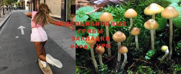 амфетамин Алексеевка