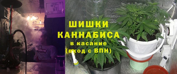 шишки Абаза