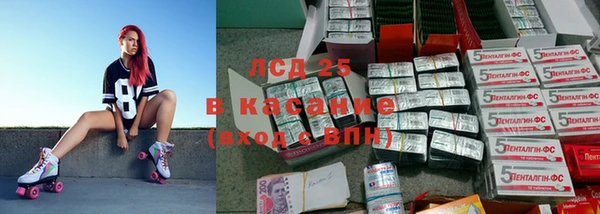 шишки Абаза