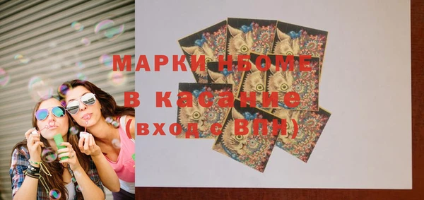 шишки Абаза