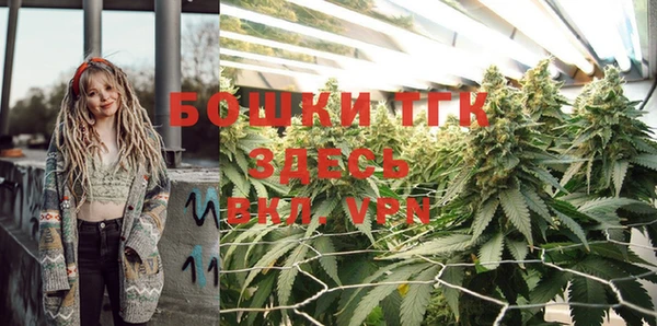шишки Абаза