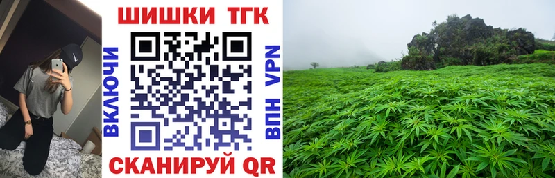 закладки  Партизанск  Шишки марихуана семена 